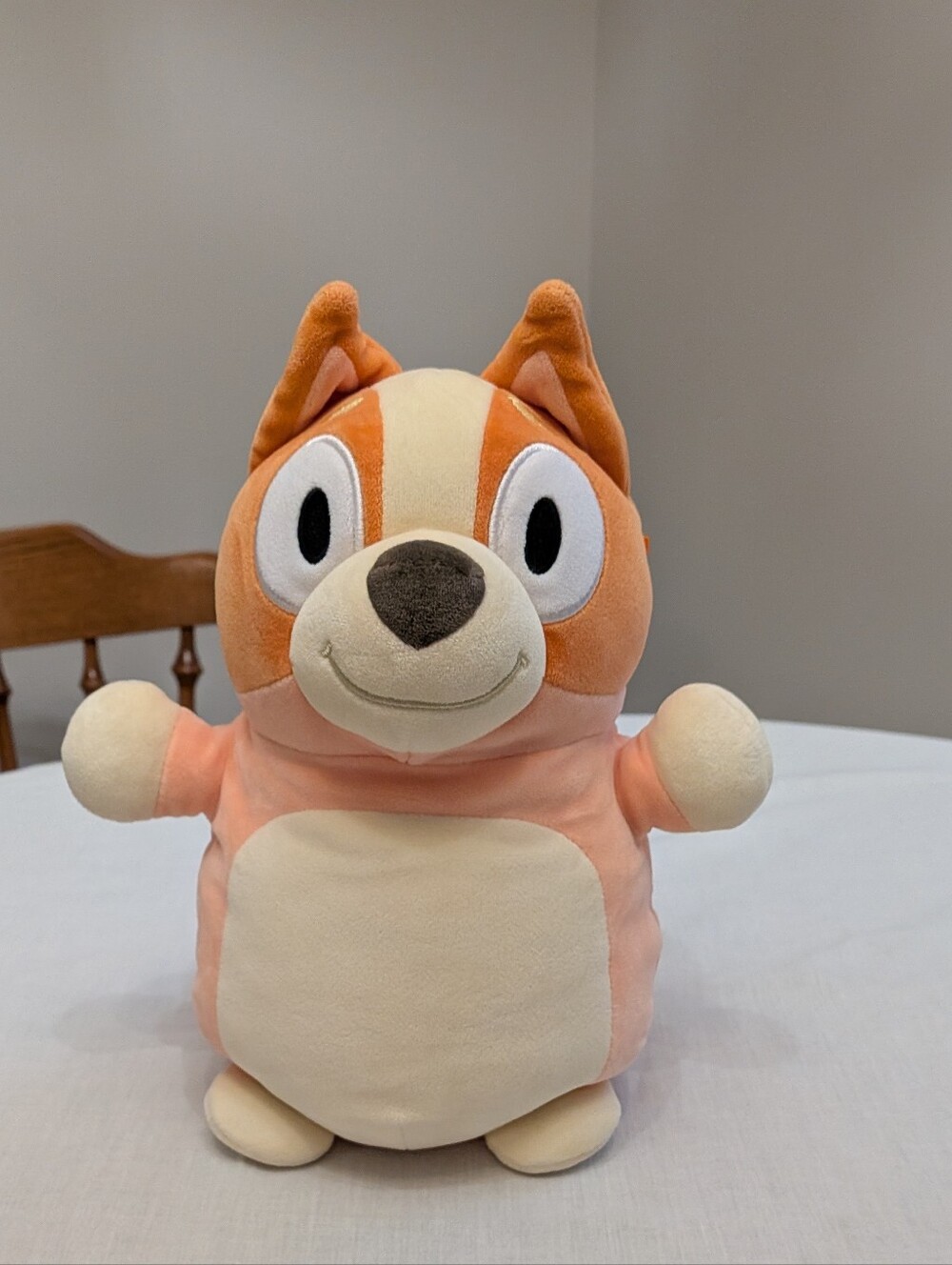 Squishmallows Bluey Bingo the healer dog 10” EUC. Cartoon Characters. Hugmees.